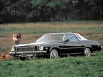 Buick Regal Colonnade Hardtop Coupe 1975 года